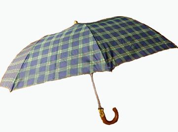 umbrella 2 fold 